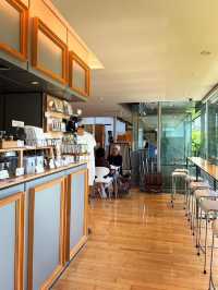 🇯🇵東京探店｜在夏目漱石故居喝貓咪主題咖啡☕️Cafe Soseki