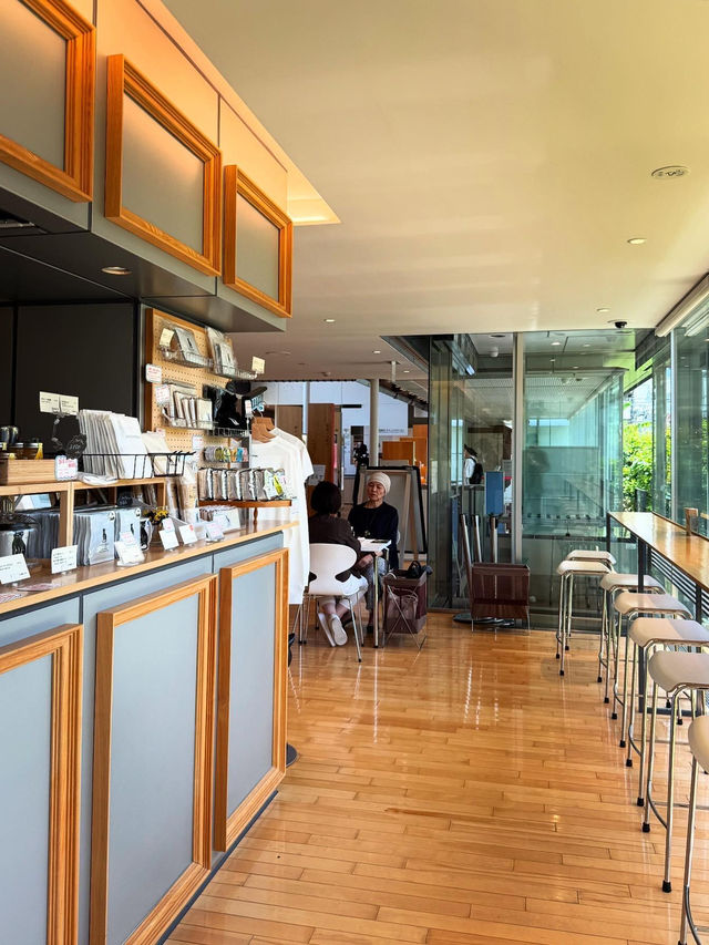 🇯🇵東京探店｜在夏目漱石故居喝貓咪主題咖啡☕️Cafe Soseki