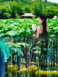 【紹興尋寶路線】終於搵到夏天避暑好去處