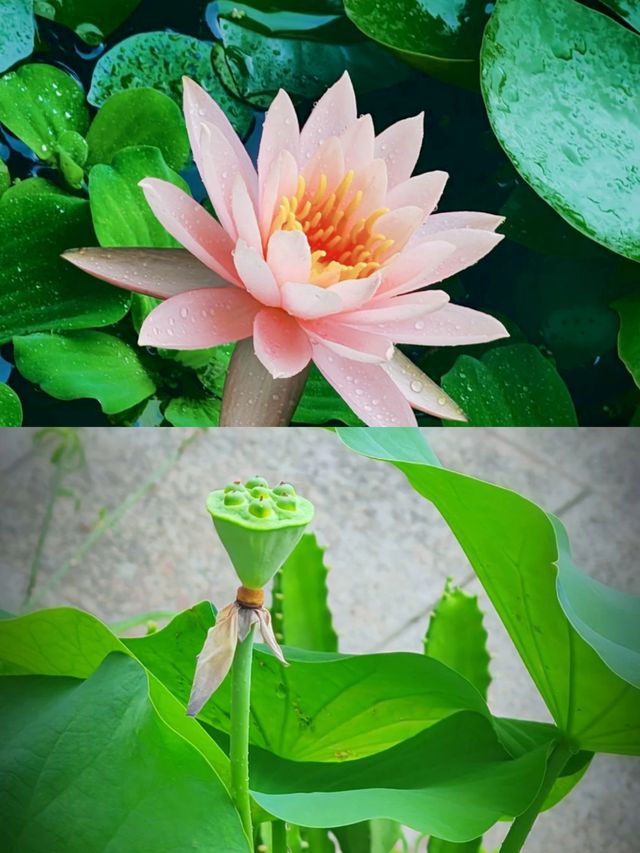 資陽寶藏民宿 | 無同·沱畔清緣，邂逅詩意棲居