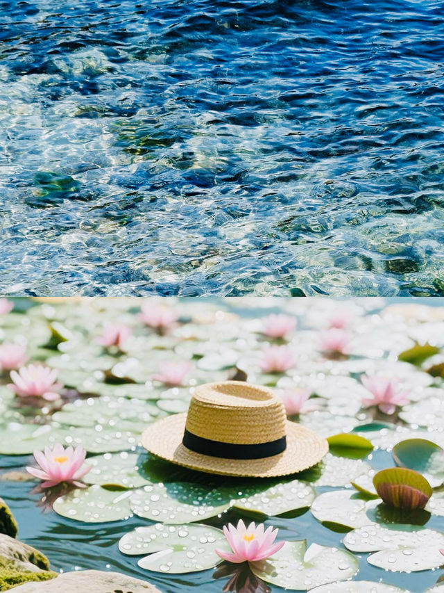 親子遊寶藏地！澄江撫仙湖一日遛娃全攻略