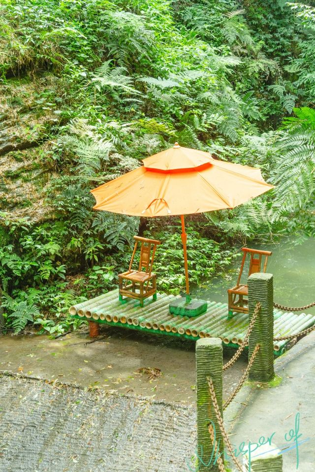 宜賓周邊遊 | 闖入現實版綠野仙蹤