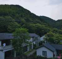 去紹興喺覆卮山遇見「南法莊園」嘅浪漫夏日