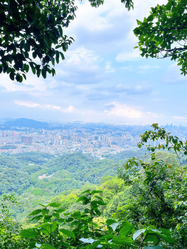 廣州登山必去摩星嶺綠肺徒步攻略