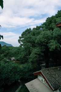 普陀山祈福 入住千年古剎法雨寺旁酒店