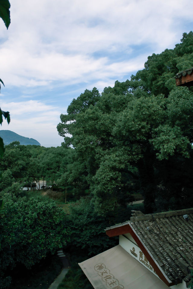 普陀山祈福 入住千年古剎法雨寺旁酒店