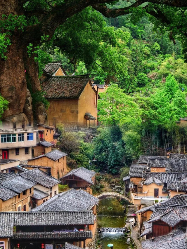 避暑天堂帶住家人一齊去松陽，3日2夜全攻略