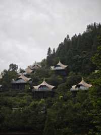 杭州自駕4.5小時直達！我在雲和梯田過上神仙日子