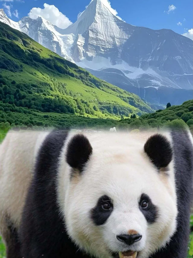 夏日嘅川西，