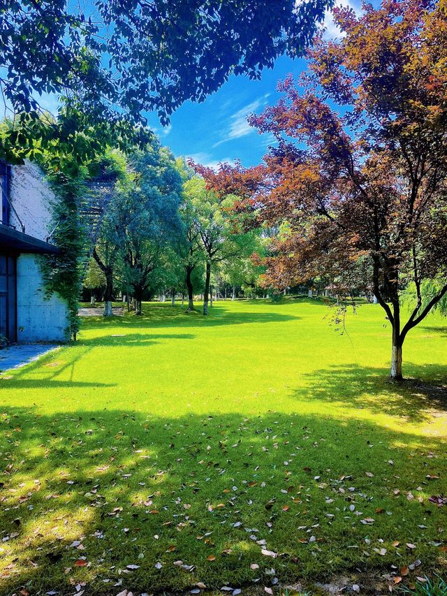 蘇州崑山巴城生志濕地公園:周邊遊