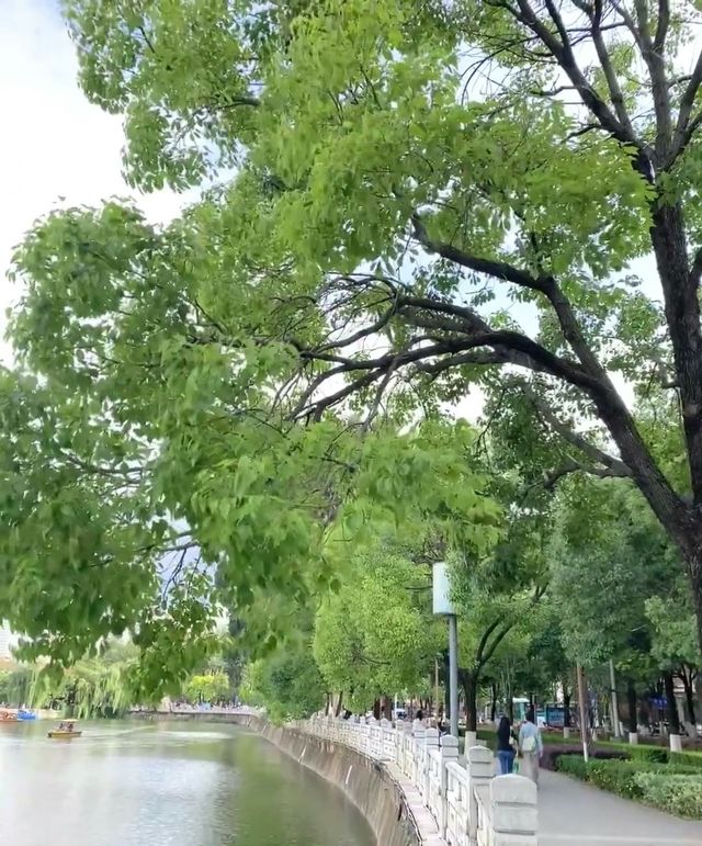 昆明｜一個充滿我對夏日幻想嘅地方