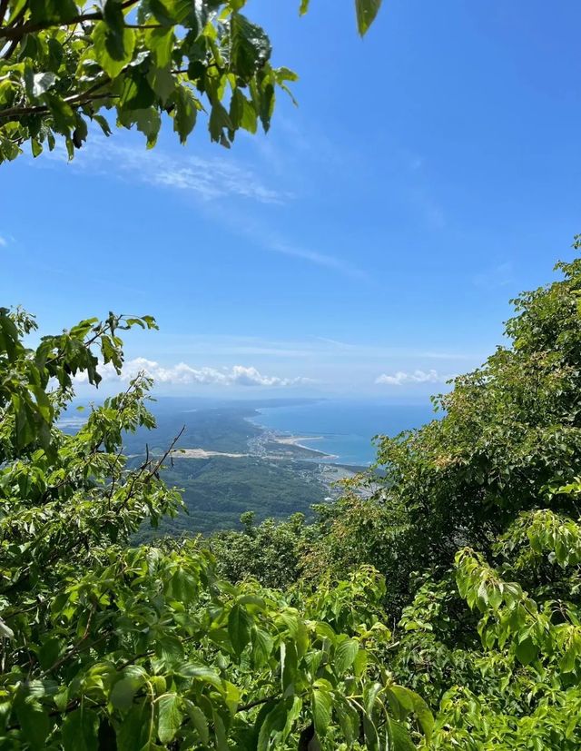 新潟