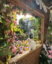 夏日系治癒花園！！