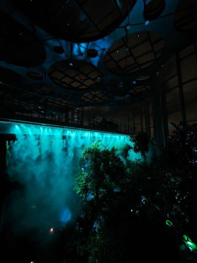 勇闖上海溫室花園夜遊，像阿凡達一樣在雨林探險
