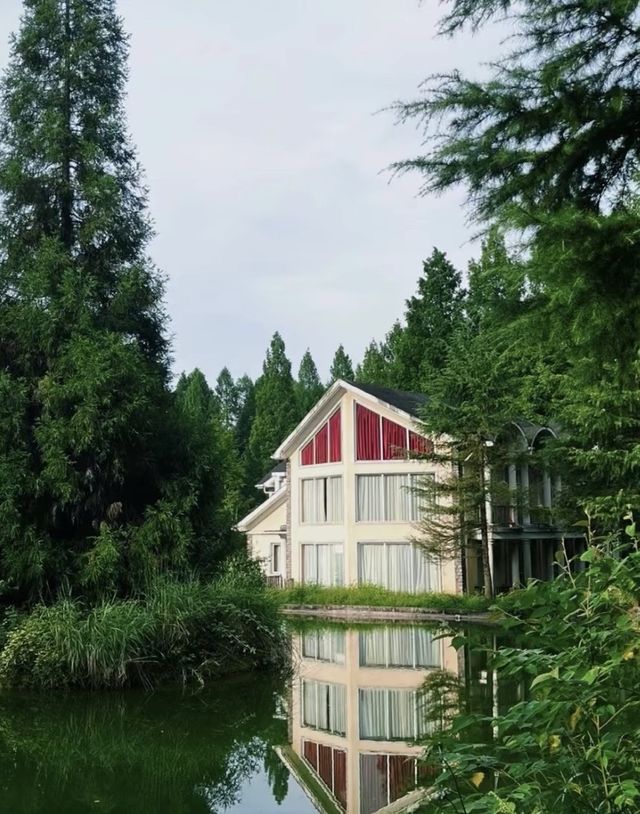 19℃嘅森林拒絕冷氣：武陵山森林公園