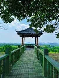 避暑勝地 宜興竹海