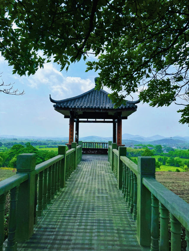 避暑勝地 宜興竹海
