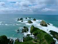 Nugget Point遊覽攻略：新西蘭南島的隱秘海角