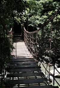 福州森林公園全攻略