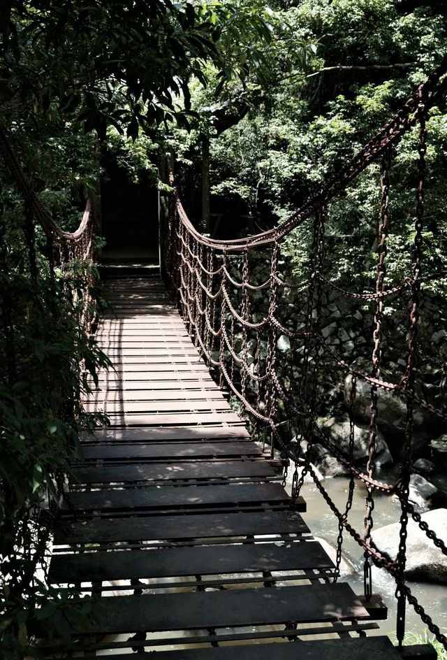 福州森林公園全攻略