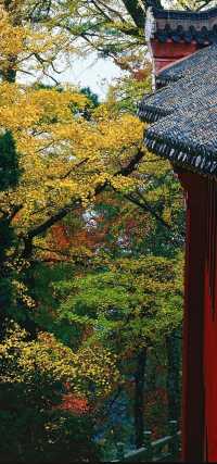 南嶽衡山一日遊玩