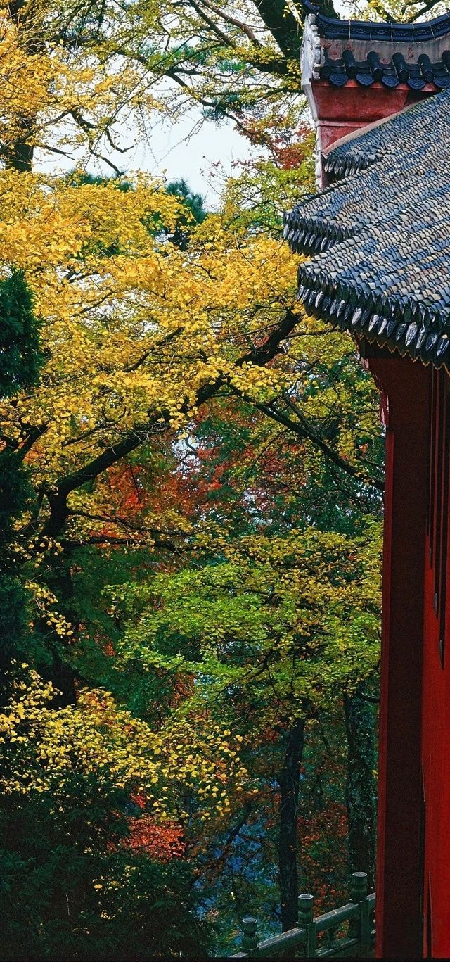南嶽衡山一日遊玩