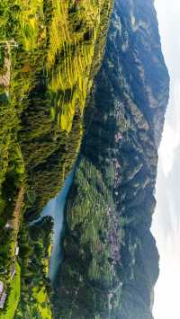 《走進苗家梯田，把自己融進青山綠水的曲線》