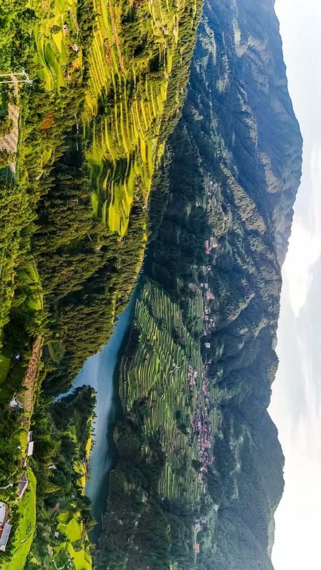 《走進苗家梯田，把自己融進青山綠水的曲線》