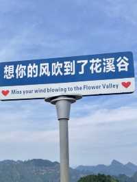 林間秘境——花溪谷樹橋旅遊區