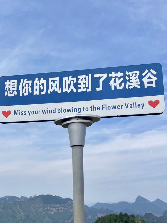 林間秘境——花溪谷樹橋旅遊區