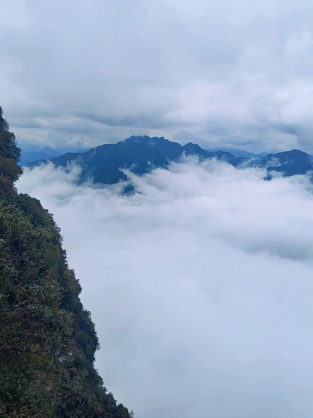 雲巔仙境漫步記