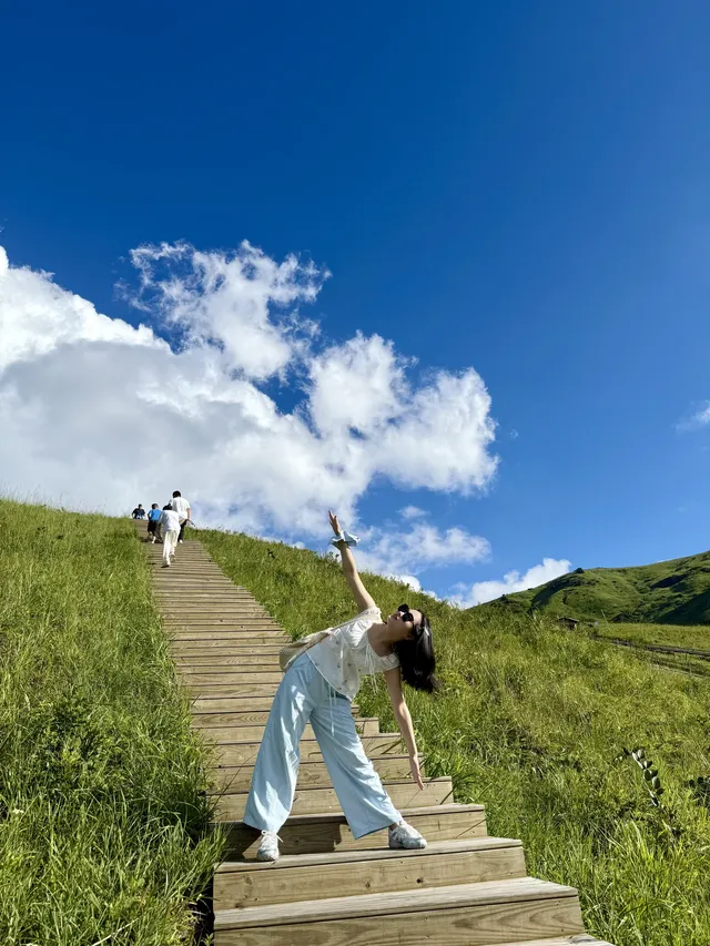 寧德柘榮鴛鴦草場。