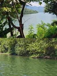 探秘後柳水鄉，感受漢江邊的秘境！