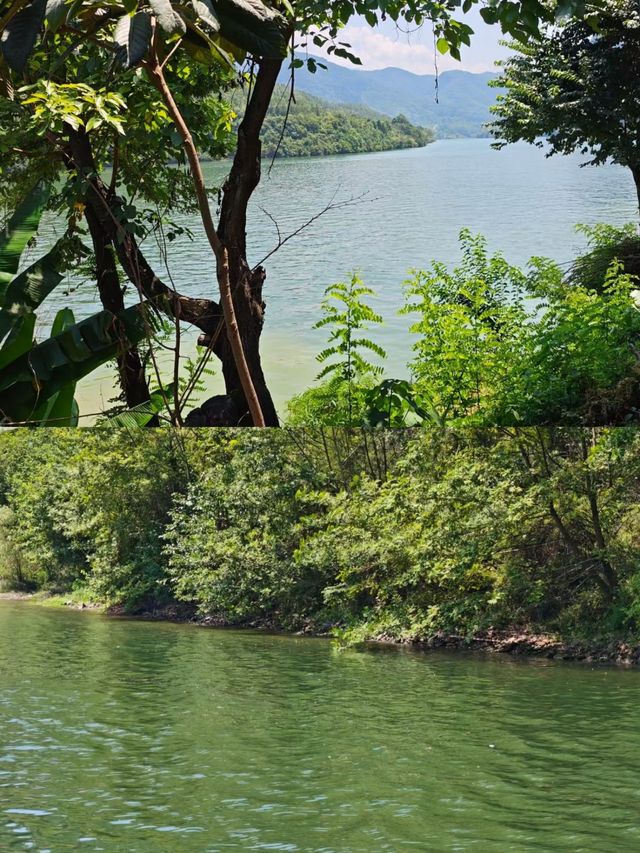 探秘後柳水鄉，感受漢江邊的秘境！