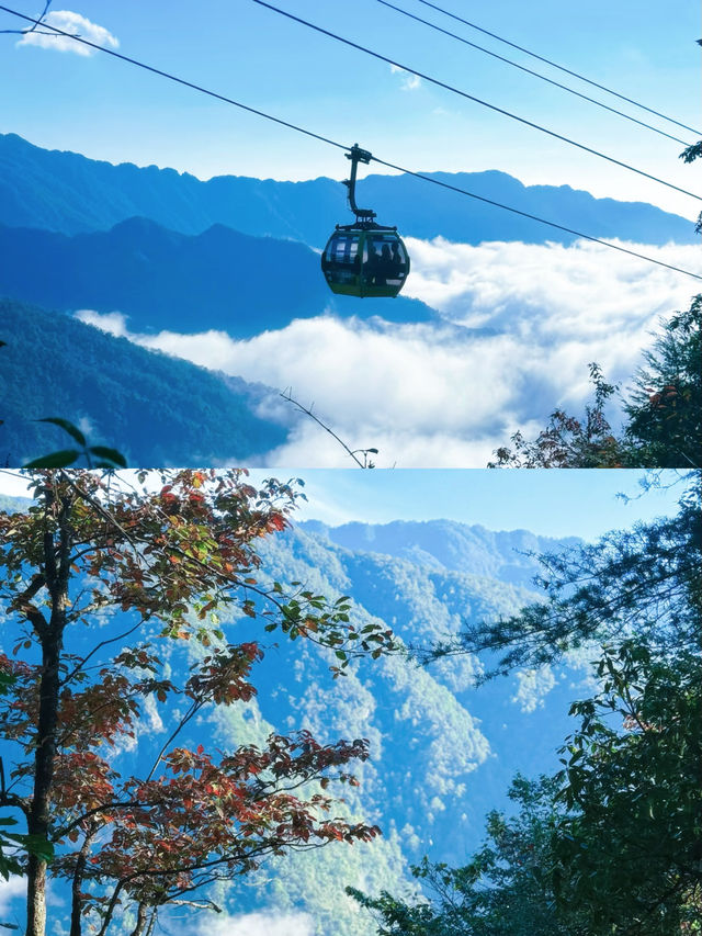 狂刷3w步！梵淨山恐高慎入版攻略