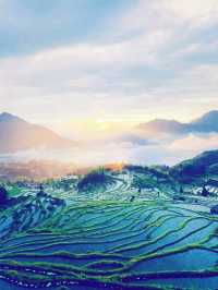 雲和梯田，華東最後秘境！千年農耕智慧驚艷了時光