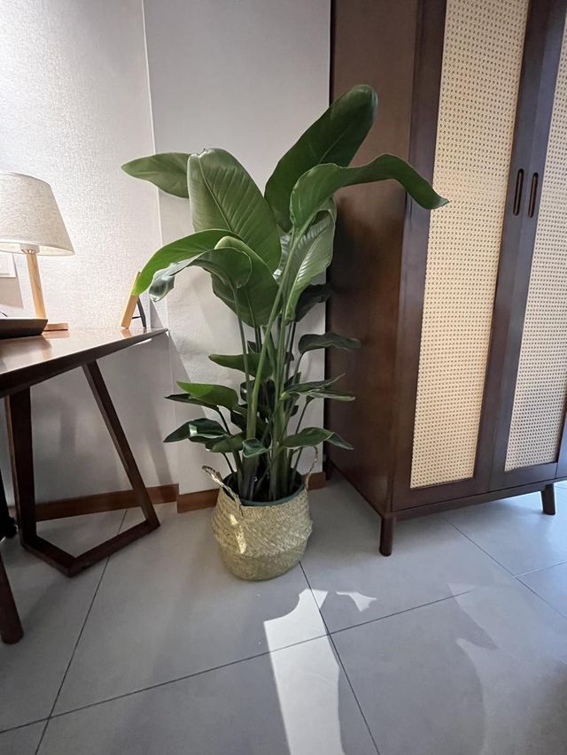 神農架楓晚，隱世山居心歸處