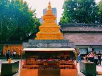 Unveiling the Mystique: A Spiritual Journey Through Yunnan Lamaist Temples