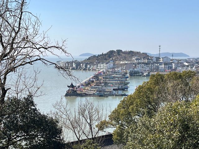 古寺聽禪觀鳥｜在永慧禪寺遇見山林裡的飛羽精靈