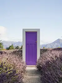 新西蘭旅行｜隱藏在瓦納卡的紫色秘密花園！