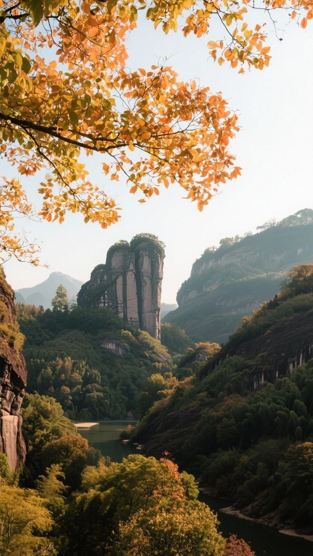 金秋武夷山三天兩晚，旅遊攻略！茶香山水間的慢遊行！