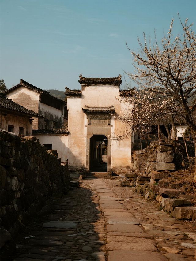 粵北秋遊天花板!古道徒步+稻田小火車,娃迷上姓氏考古之旅 粵北秋遊天花板!古道徒步+稻田小火車,娃迷上姓氏考古之旅