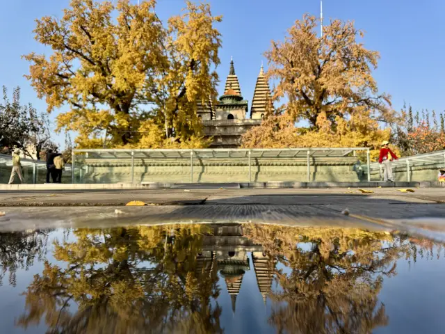 Autumn Exclusive! Unlock the stunning reflection of a 600-year-old ginkgo at Wutasi Temple in Beijing