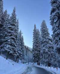 天山深處的綠寶石:烏魯木齊南山牧場一日漫記