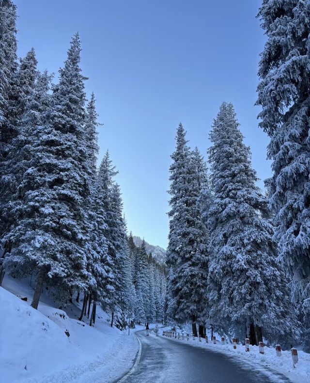 天山深處的綠寶石:烏魯木齊南山牧場一日漫記 天山深處的綠寶石:烏魯木齊南山牧場一日漫記