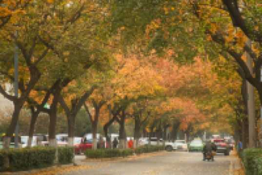 還得是西安的小香港啊!紡正街