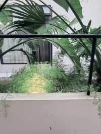 昆明秘境花園打卡點