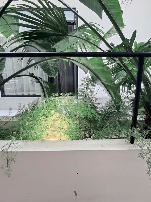 昆明秘境花園打卡點