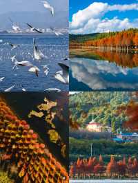 適合帶小朋友小住2天的個城市