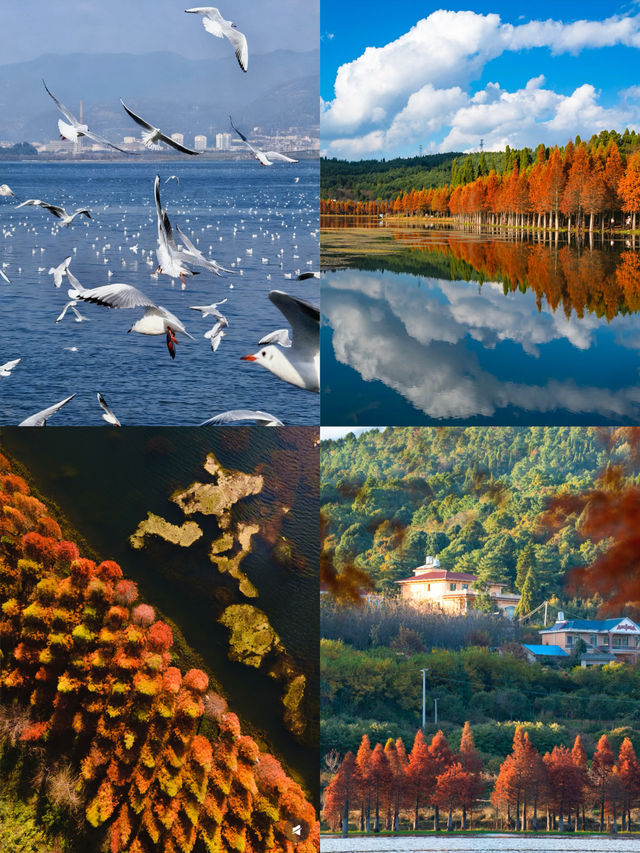 適合帶小朋友小住2天的個城市